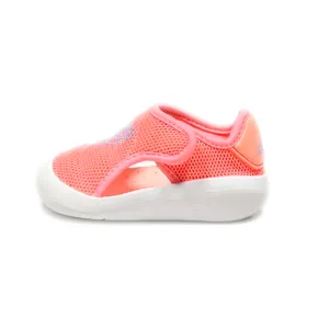 Adidas Altaventure Sport Swim Crawlers Leather Pink Colour For Kids