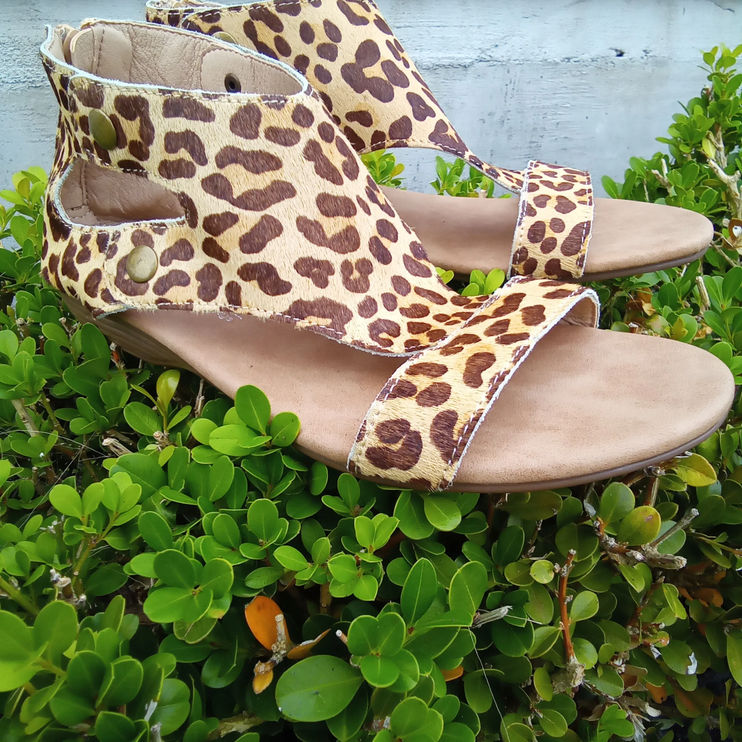 Leopard Sandal | Boutique by Corkys | Jayde | Last Pair