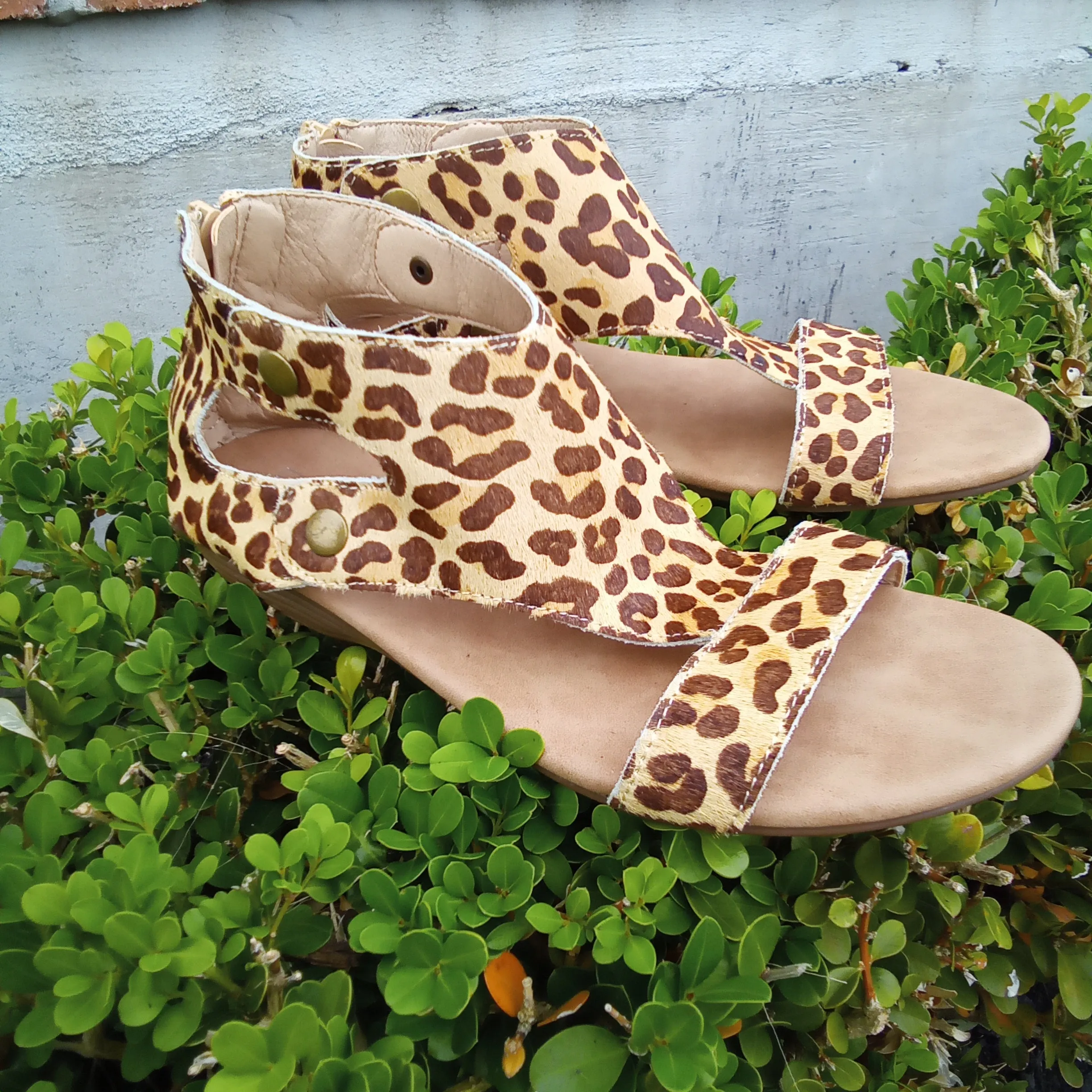 Leopard Sandal | Boutique by Corkys | Jayde | Last Pair