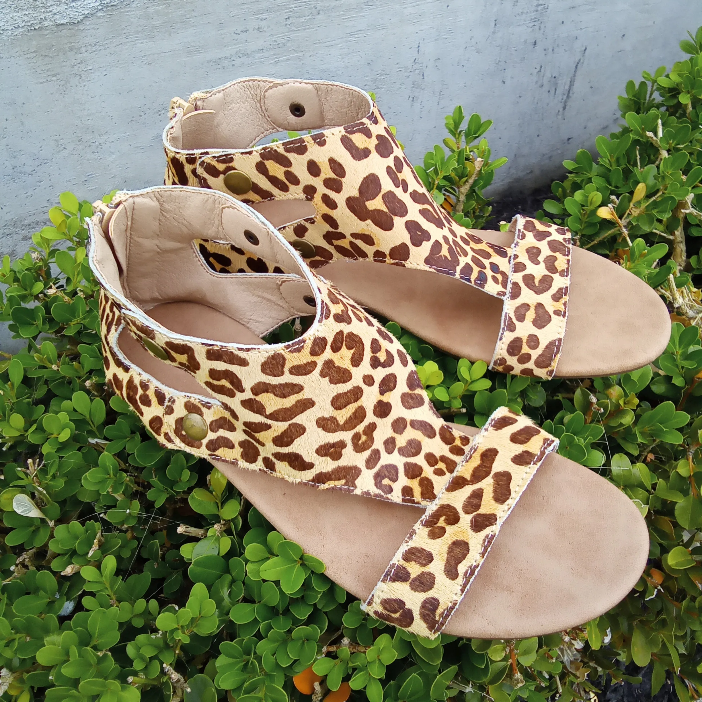 Leopard Sandal | Boutique by Corkys | Jayde | Last Pair