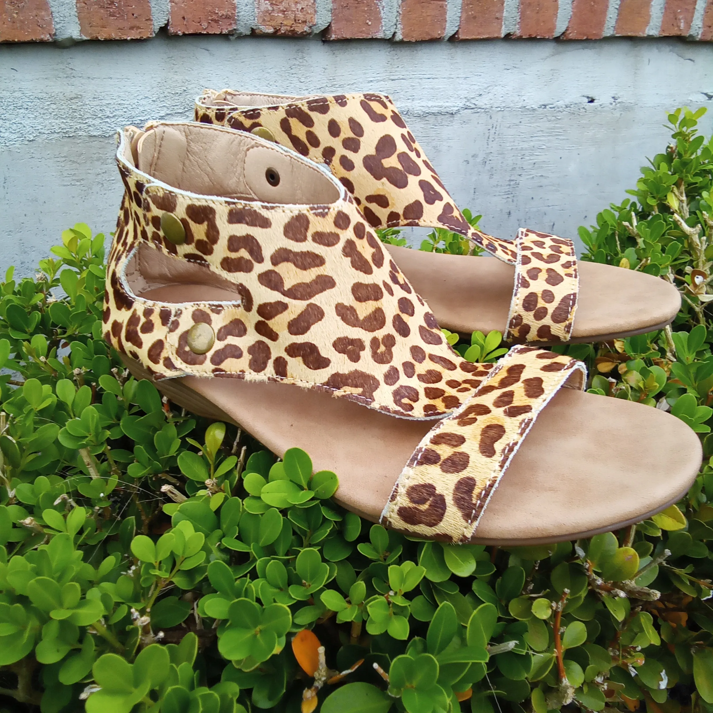 Leopard Sandal | Boutique by Corkys | Jayde | Last Pair